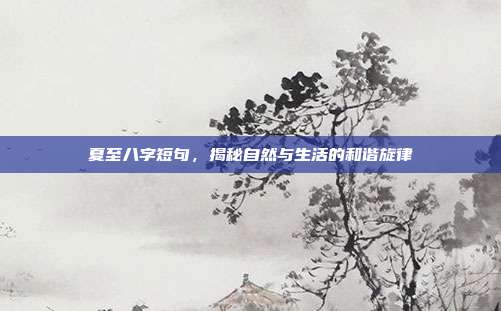 夏至八字短句，揭秘自然与生活的和谐旋律