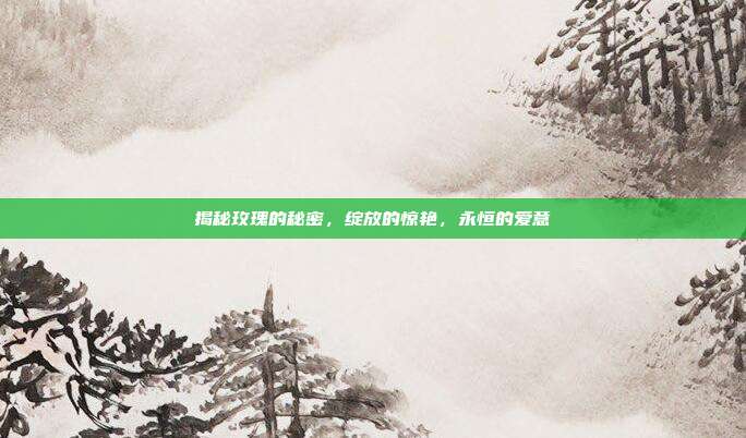揭秘玫瑰的秘密,绽放的惊艳,永恒的爱意