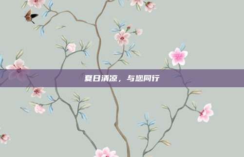夏日清凉,与您同行