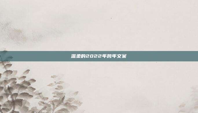 温柔的2022年跨年文案