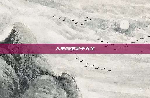 人生感悟句子大全