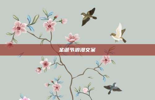 圣诞节浪漫文案