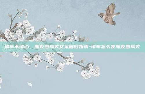 堵车不堵心，朋友圈搞笑文案自救指南-堵车怎么发朋友圈搞笑