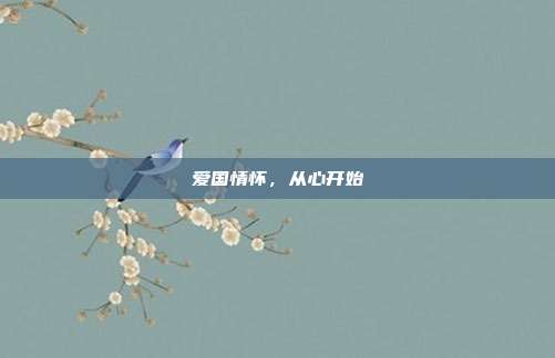 爱国情怀,从心开始
