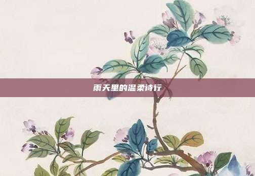 雨天里的温柔诗行