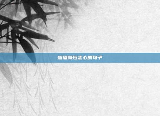 感恩简短走心的句子