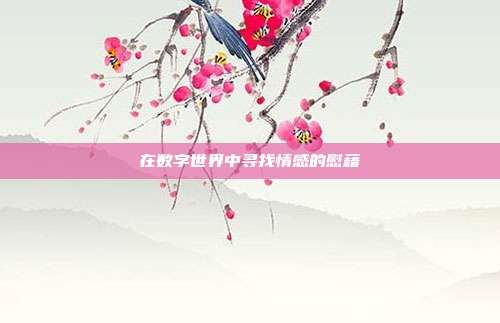 在数字世界中寻找情感的慰藉