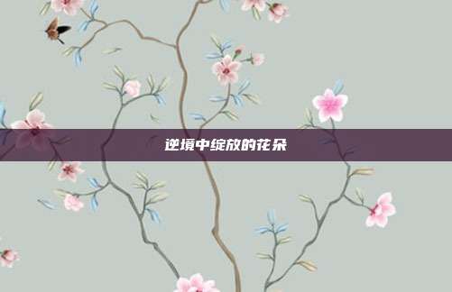逆境中绽放的花朵
