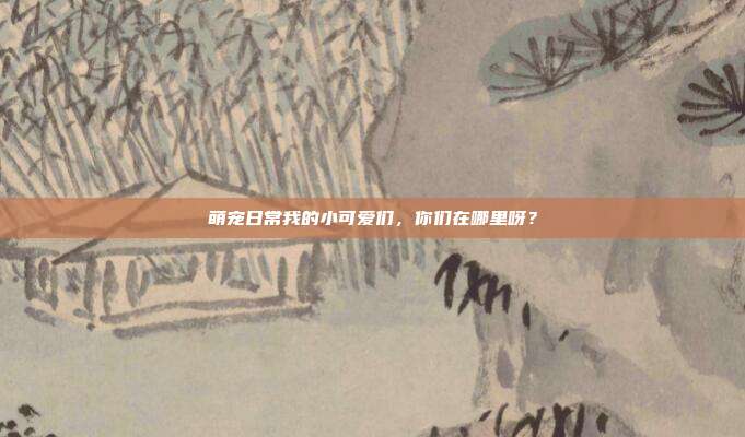 萌宠日常我的小可爱们,你们在哪里呀?