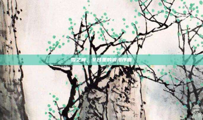 雪之舞,冬日里的浪漫序曲