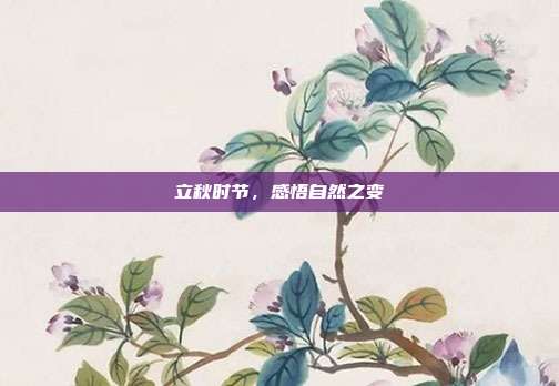 立秋时节,感悟自然之变