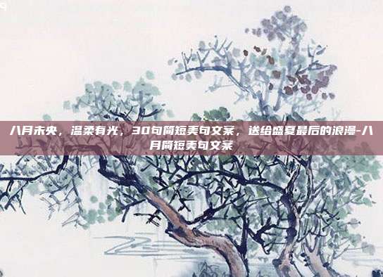 八月未央，温柔有光，30句简短美句文案，送给盛夏最后的浪漫-八月简短美句文案