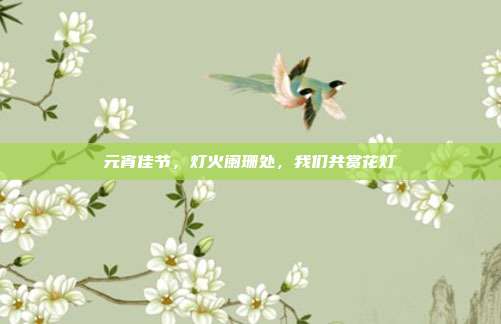 元宵佳节,灯火阑珊处,我们共赏花灯