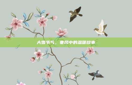大雪节气，寒风中的温暖故事