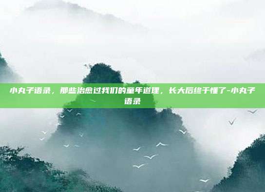 小丸子语录，那些治愈过我们的童年道理，长大后终于懂了-小丸子语录