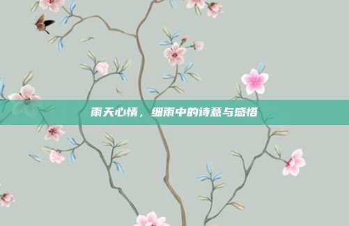 雨天心情，细雨中的诗意与感悟