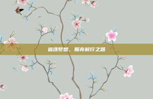 追逐梦想,照亮前行之路