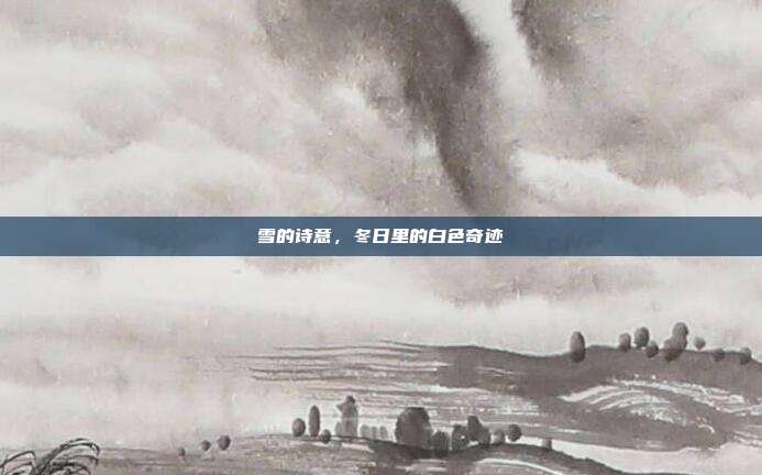 雪的诗意,冬日里的白色奇迹