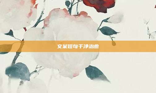 文案短句干净治愈