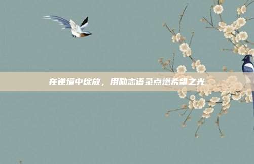 在逆境中绽放,用励志语录点燃希望之光