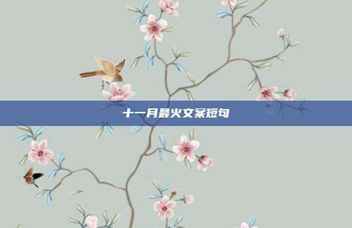十一月最火文案短句