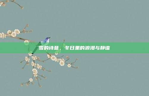 雪的诗意,冬日里的浪漫与静谧