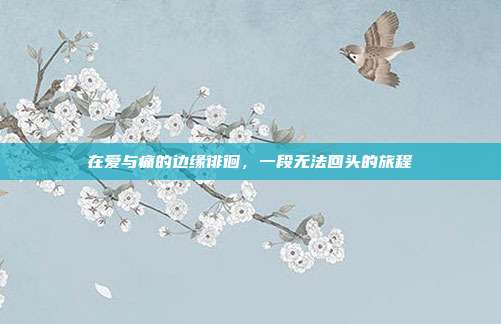 在爱与痛的边缘徘徊,一段无法回头的旅程