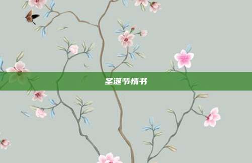 圣诞节情书