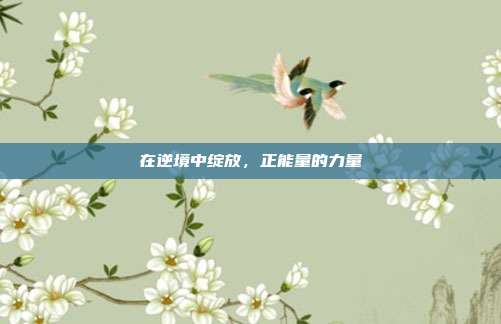 在逆境中绽放，正能量的力量