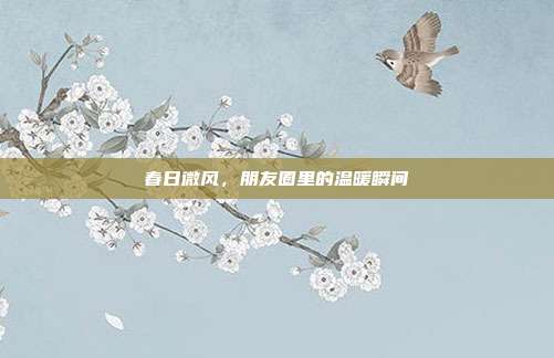 春日微风，朋友圈里的温暖瞬间