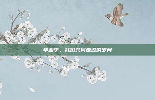 毕业季，我们共同走过的岁月