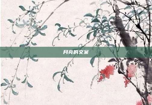 月亮的文案