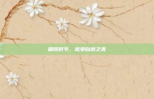霜降时节，感受自然之美