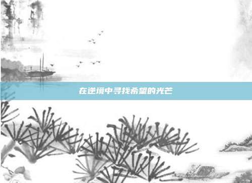 在逆境中寻找希望的光芒