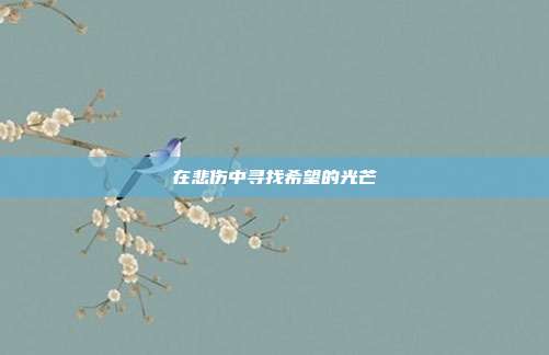 在悲伤中寻找希望的光芒