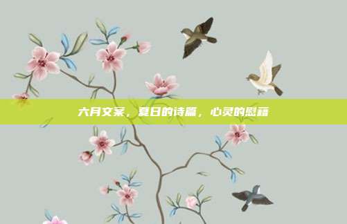 六月文案，夏日的诗篇，心灵的慰藉