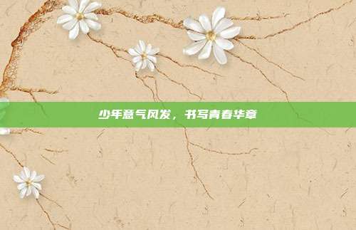 少年意气风发，书写青春华章