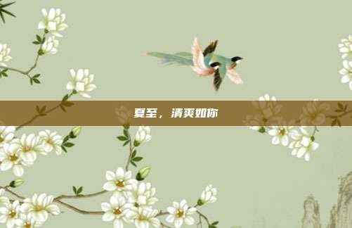 夏至，清爽如你