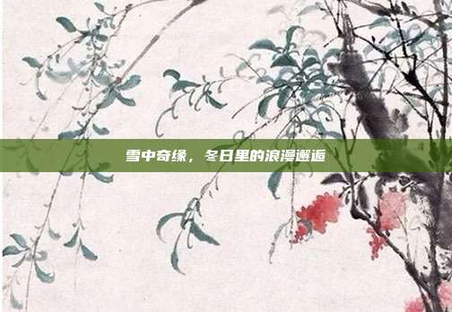 雪中奇缘，冬日里的浪漫邂逅