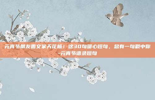 元宵节朋友圈文案天花板！这30句暖心短句，总有一句戳中你-元宵节语录短句