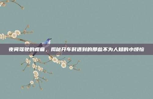 夜间驾驶的疼痛，揭秘开车时遇到的那些不为人知的小烦恼