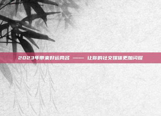 2023年带来好运网名 —— 让你的社交媒体更加闪耀