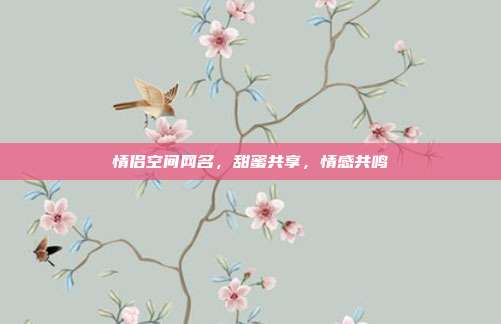 情侣空间网名，甜蜜共享，情感共鸣