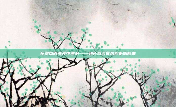 在键盘的海洋中漂泊——超长网名背后的伤感故事