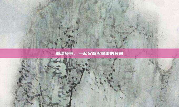 重温经典，一起又看流星雨的台词