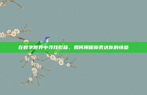 在数字世界中寻找慰藉，如何用昵称表达你的情感