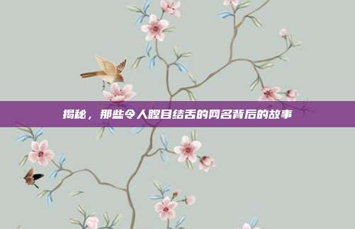 揭秘，那些令人瞠目结舌的网名背后的故事