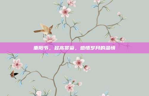 重阳节，登高赏菊，感悟岁月的温情