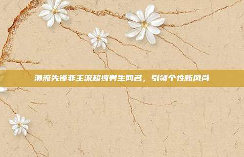 潮流先锋非主流超拽男生网名，引领个性新风尚