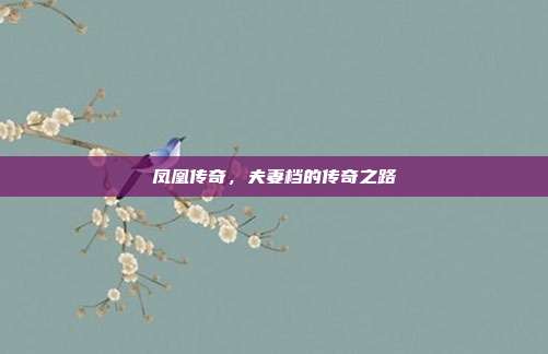 凤凰传奇，夫妻档的传奇之路